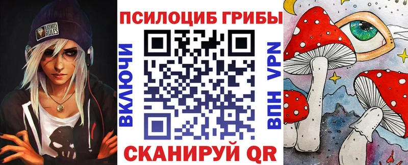 Купить  Лермонтов  Галлюциногенные грибы MAGIC MUSHROOMS 